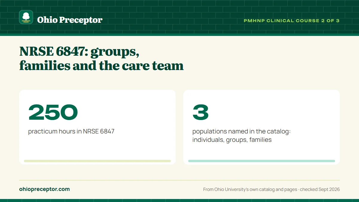 NRSE 6847: groups, families and the care team. 250: practicum hours in NRSE 6847; 3: populations named in the catalog: individuals, groups, families.